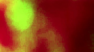 unfaithful latina ass pays rent with sex