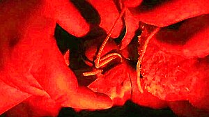 Slave Tied Up For Cock Surrender In Bondage