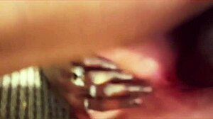 german bbw couple explores their european adventures