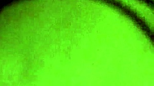 Video from January 26, 2018, showing bondage scene