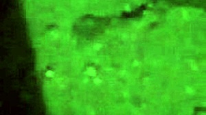 I love those female dirty soles so much