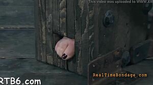 Amateurs explore sadomasochism in thrilling contrasts