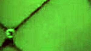 keightania lagurley masturbates 20cm she-cock till cum in homemade