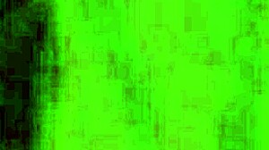 have you seen that sexy nude brunette from halloween 2 2009 with hairy tits and boobs?