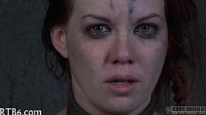 Femdom Sadomasochism