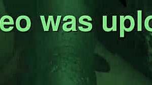 Devouring Gown By Ovidius Naso