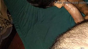 Delicious Blowjob Featuring Pussy And Ass