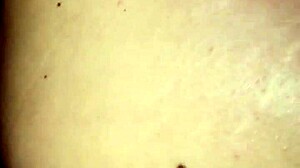 Latina says, 'Fuck my pussy doggy style?'