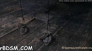 sadomasochism video with oral sucking