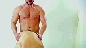 Horned hunky daddy drills poor little gay twink ass