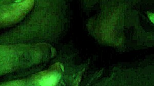 Intimate pussy licking session