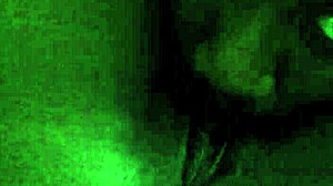 Intimate pussy licking session