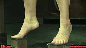 Bigtits Milf Sub Disciplined by Master