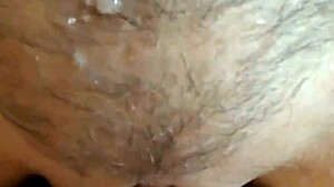 Curioso Della Figa Gonfia E Grassa Che Pompa Il Mio Cazzo?