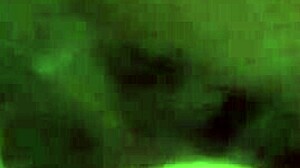 horny brazilian chic says, 'i'm sucking and taking it in the ass'