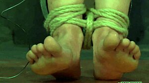 I Share My Free Sadomasochism Erotica