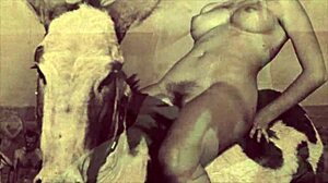 Dark Lantern Entertainment Presents A Timeless Tale Of Beauty And The Beast