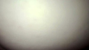 Am pierdut un pariu și am plătit cu corpul meu brazilian strâmt!