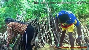 فتاة أفريقية تثقب بزب أسود كبير على جانب الطريق