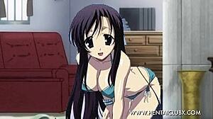 Hentai hentai top 5 animes ecchi remasterizado