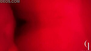 Casalbarihot - Esposinha Liberada Dando Para O Fixo No Pelo Teaser