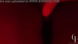 Casalbarihot - Esposinha Liberada Dando Para O Fixo No Pelo Teaser