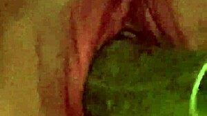 Oh man, this horny teen 18+ is using a cucumber like a dildo for wild masturbation!