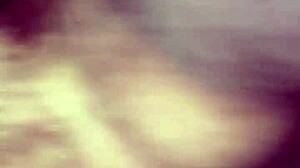 Willy and Jesse Share Matthew in Emotional Bareback Encounter.