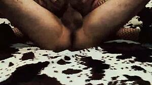 Hot Couple's Wild Anal Sex!