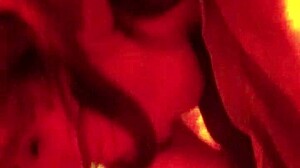 Nice Gift: Beautiful Darcy Dark Delivers A Suggestive Blowjob On Monster Cock