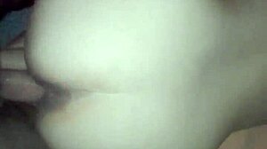 De Perrito Anal Action Awaits