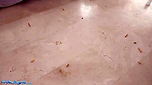 damn, watch damaris clean and get fucked outdoors!