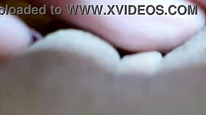 saio melado, pensei em enfiar tudo, trinta centímetros e meio, quarenta na rosca, cabe?