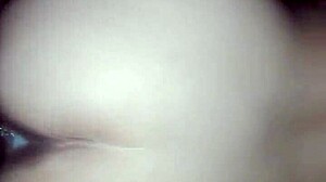 De Perrito Anal Action Awaits