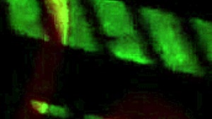 Let's play ttpp demo game.