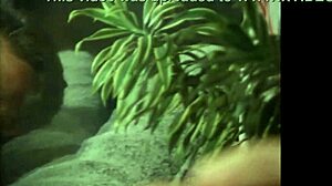 Nice brunette teen has perfect pussy for blowjob cumshot