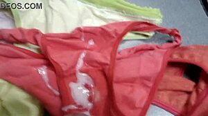 Cumshot Compilation on My Mature Latina Wife's Used Panties