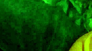 i give a blowjob to my gay partner.