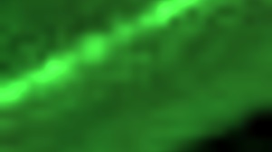 Let's play ttpp demo game.