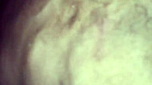 Friends Engage in Playful Group Activities