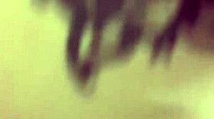 Tapping That White Oily Ass Hard!