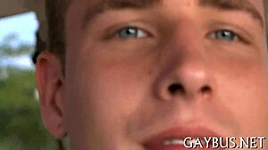 Males Engaging In Homosexual Sex Passionately