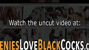 Adolescente 18+ Pequena Morena, Pronta para Essa Porrada de BBC Enorme?