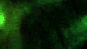 Lesha's Personal Moments