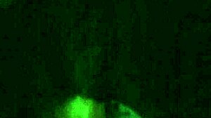 Lesha's Personal Moments