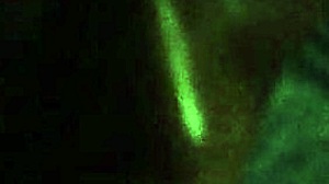 Lesha's Personal Moments