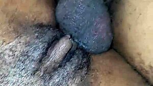 एबोनी की टाइट चूत हार्ड पाउंडिंग ले रही है