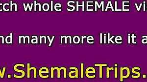 สาวทรานนี่ตัวกิ๊กโดนเย็ดแรงโดยคู่ครองโดมิแนนต์หลังนั่งหน้านั่งตูด
