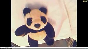 Nikkix Webcam Web Chat