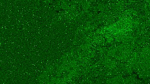 Fister mig selv i intens solo session close-up